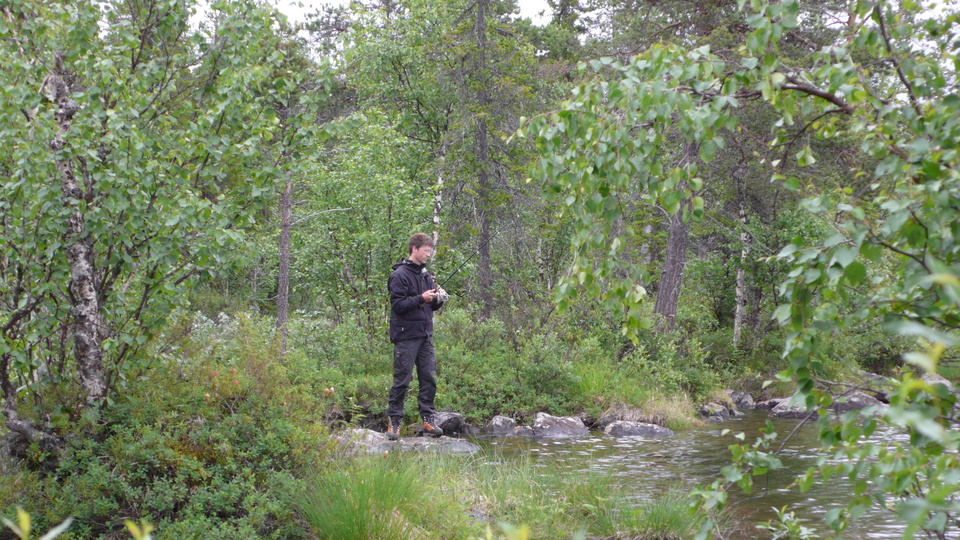 Lappland-00761.JPG