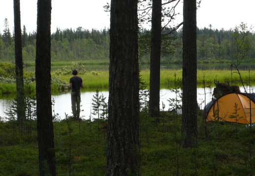 Lappland-10080