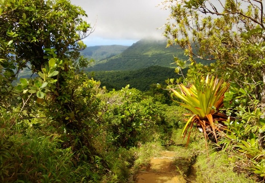 2013-01 Dominica