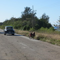 Kuba-12.jpg